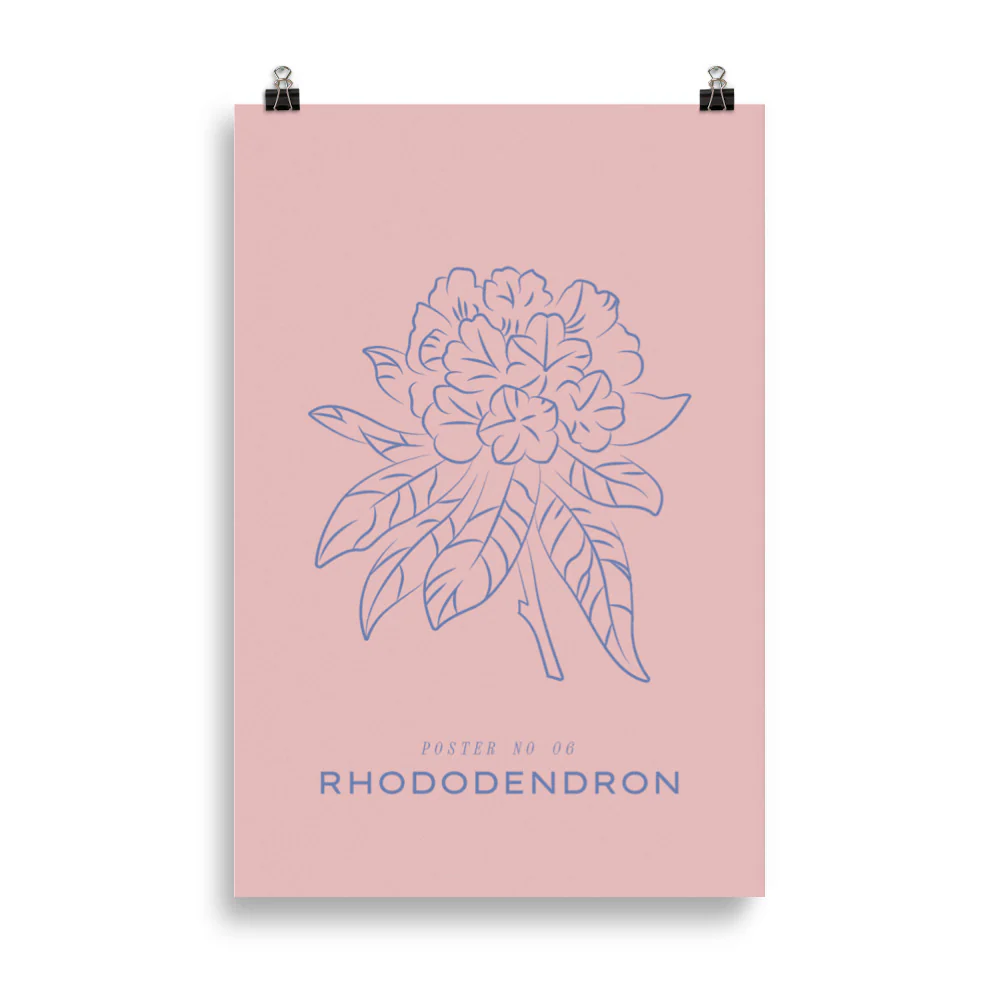 Rhododendron - Image 5