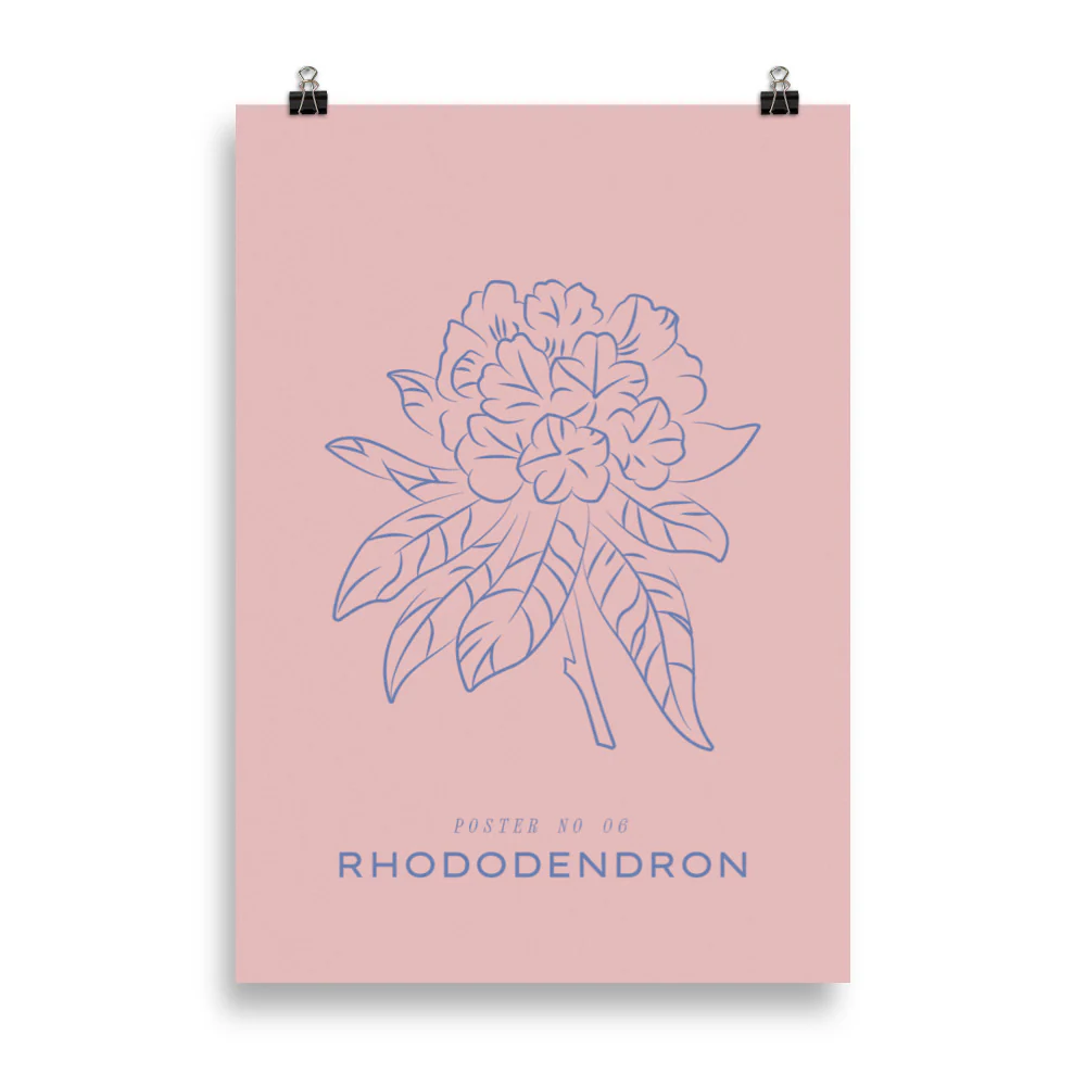 Rhododendron - Image 6