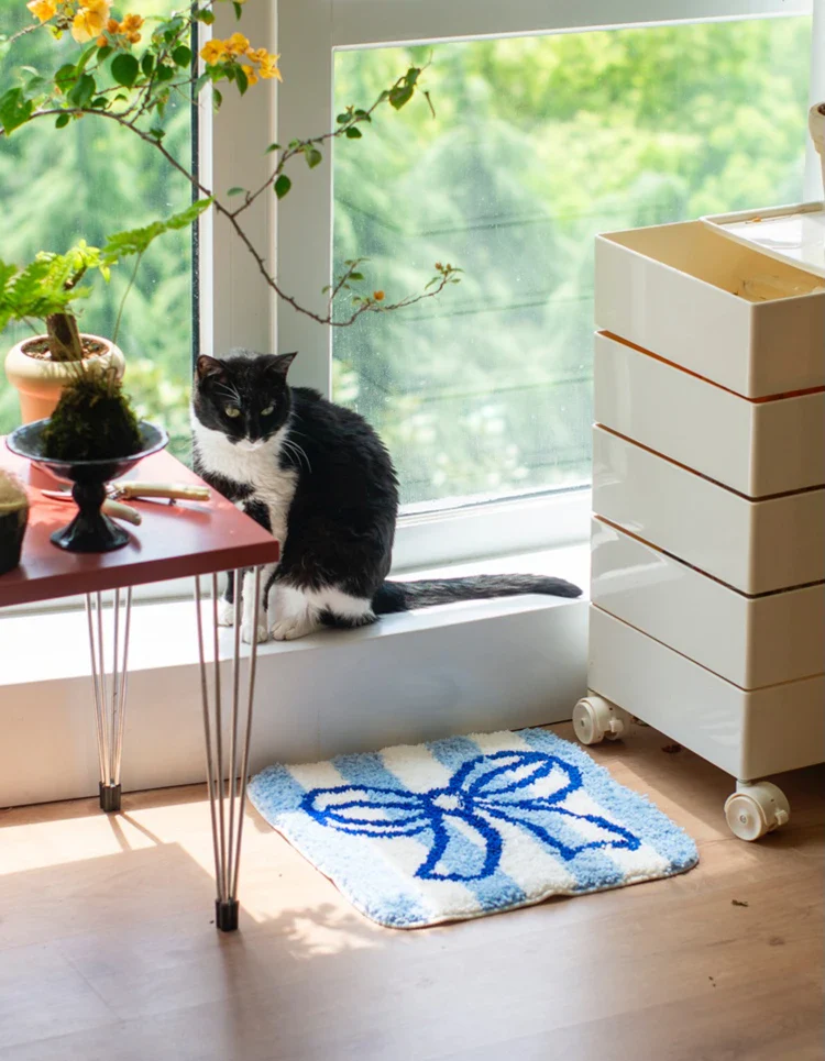 Ribbon Seat Cushion - Image 6