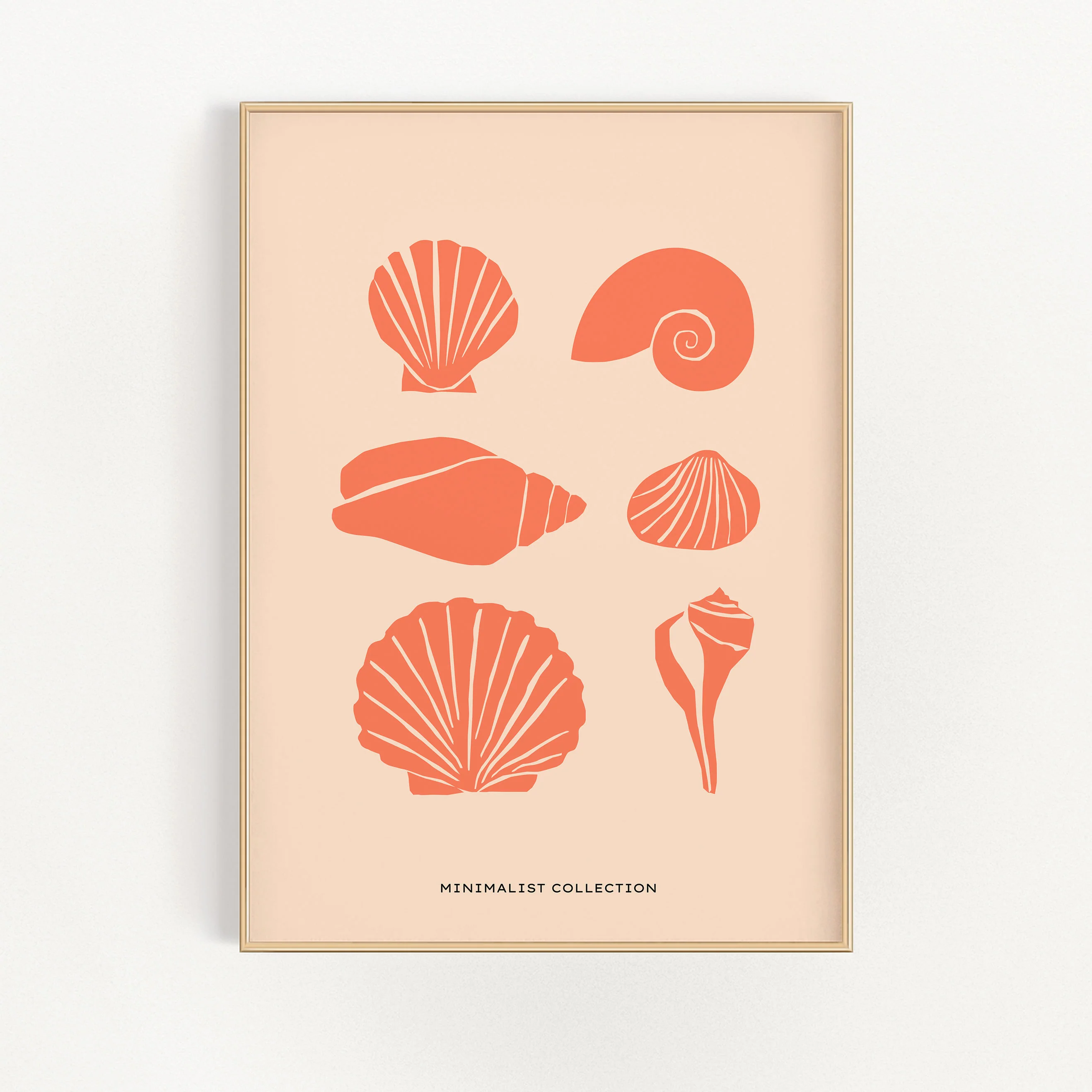 Shells