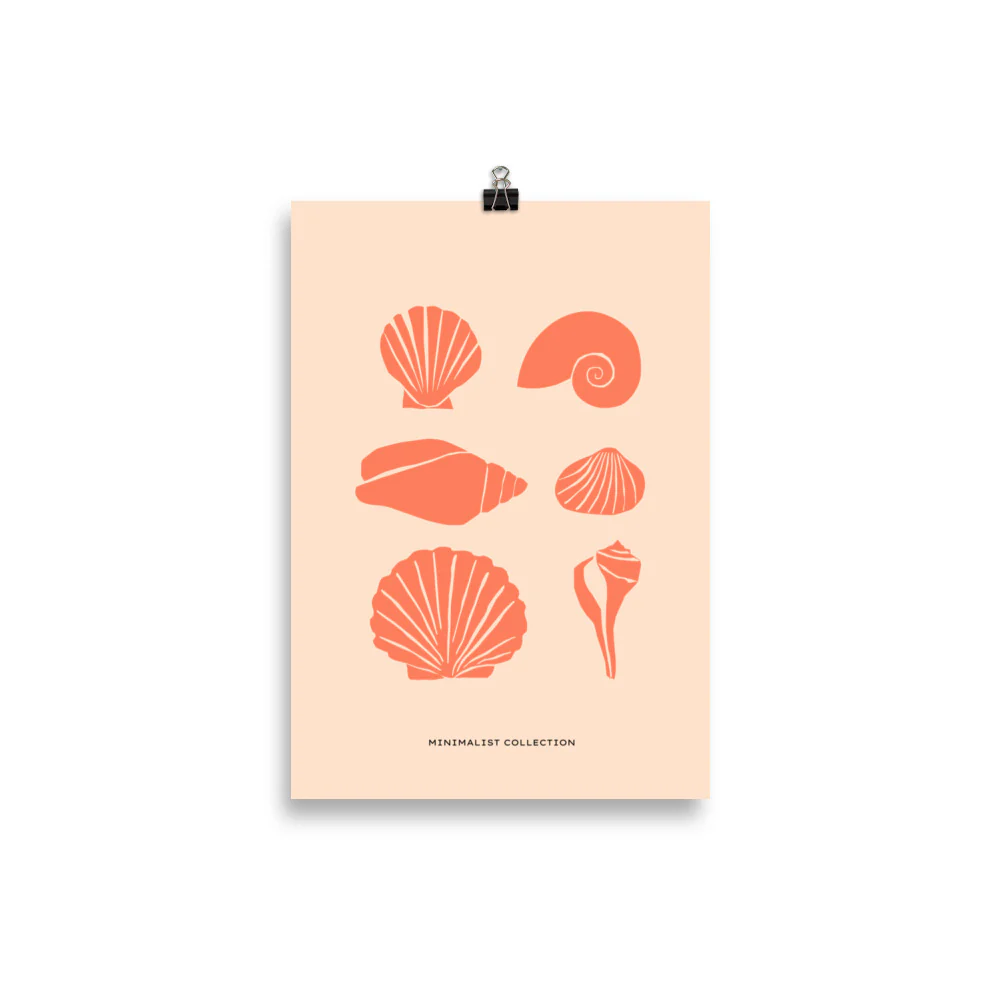 Shells - Image 2
