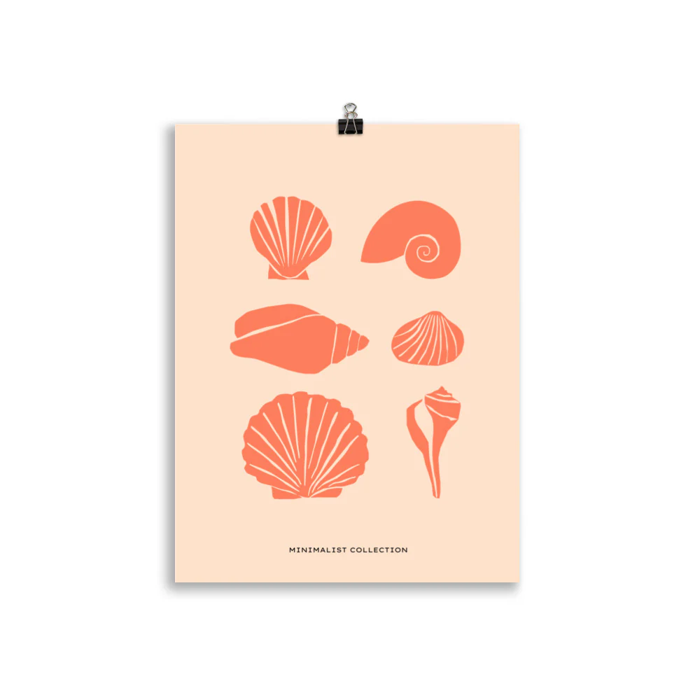 Shells - Image 3