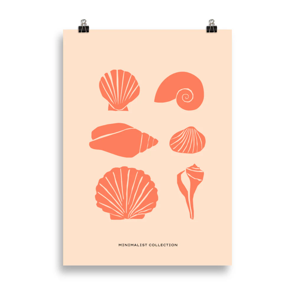 Shells - Image 4