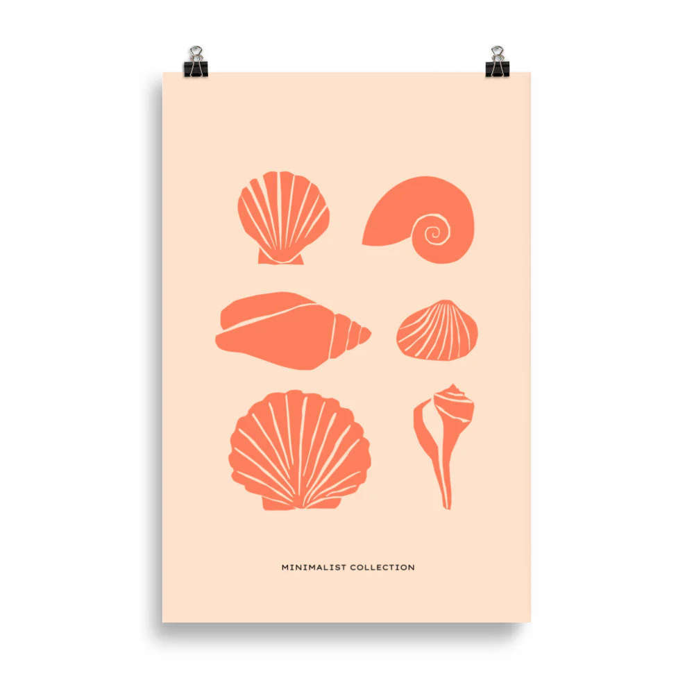 Shells - Image 5