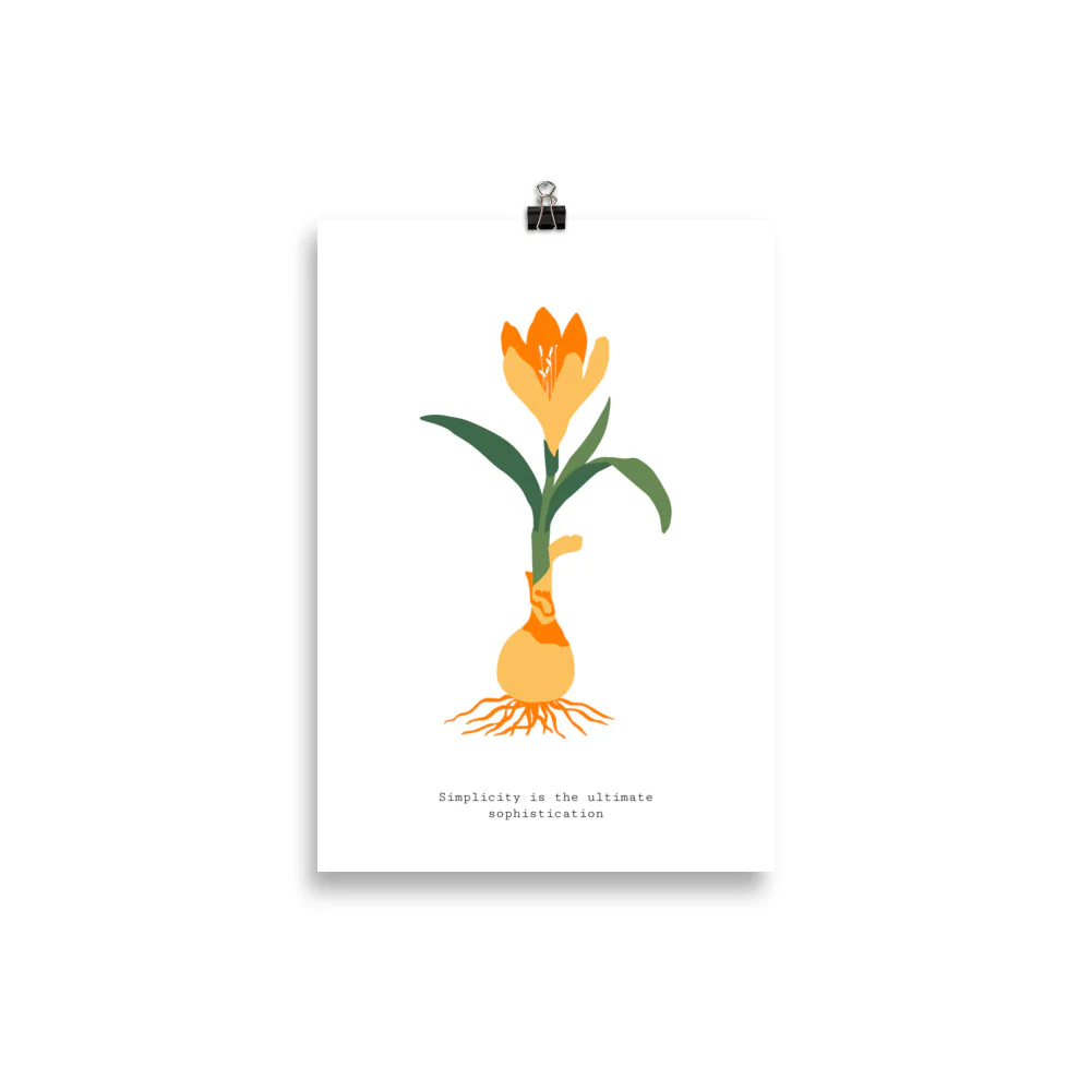 Simplicity is the ultimate sophisication - Image 2