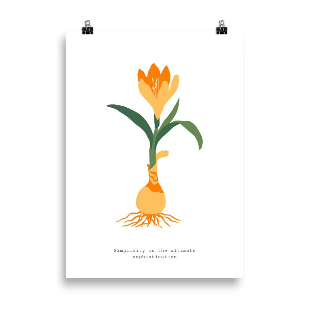 Simplicity is the ultimate sophisication - Image 4