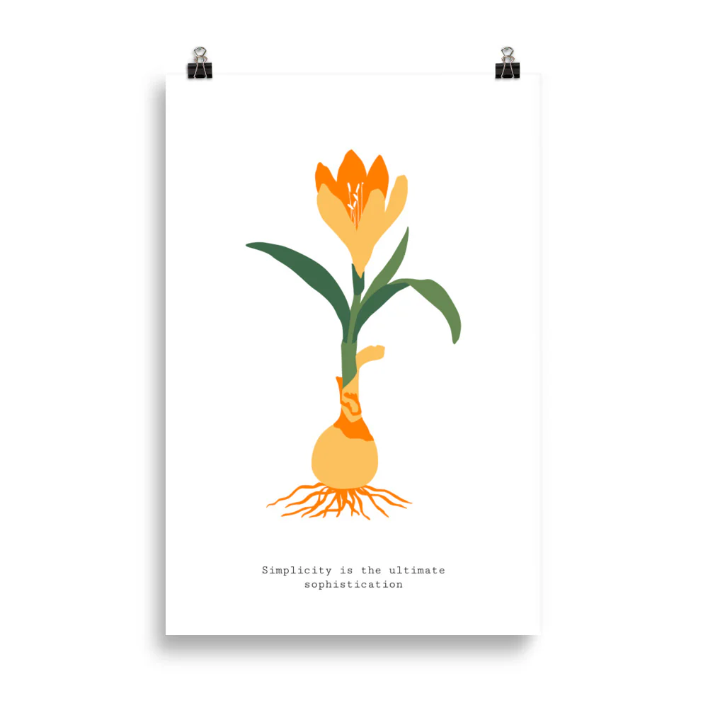 Simplicity is the ultimate sophisication - Image 5