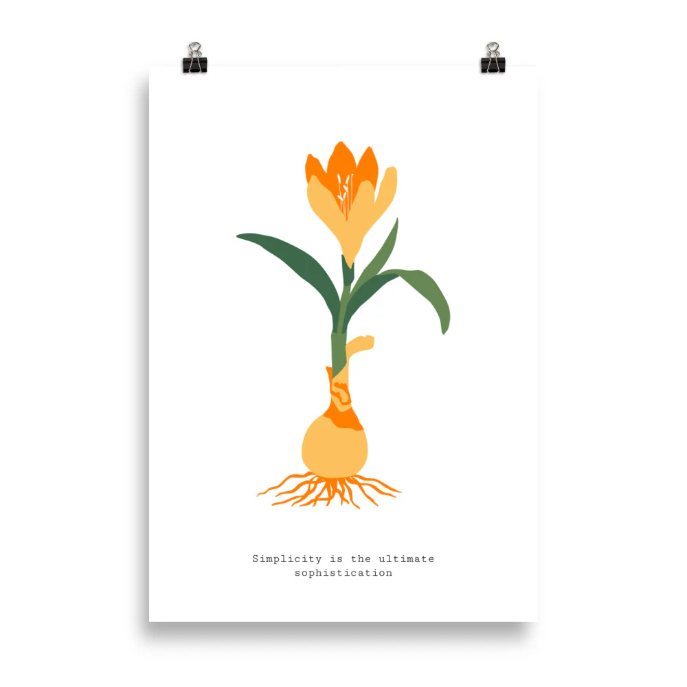 Simplicity is the ultimate sophisication - Image 6