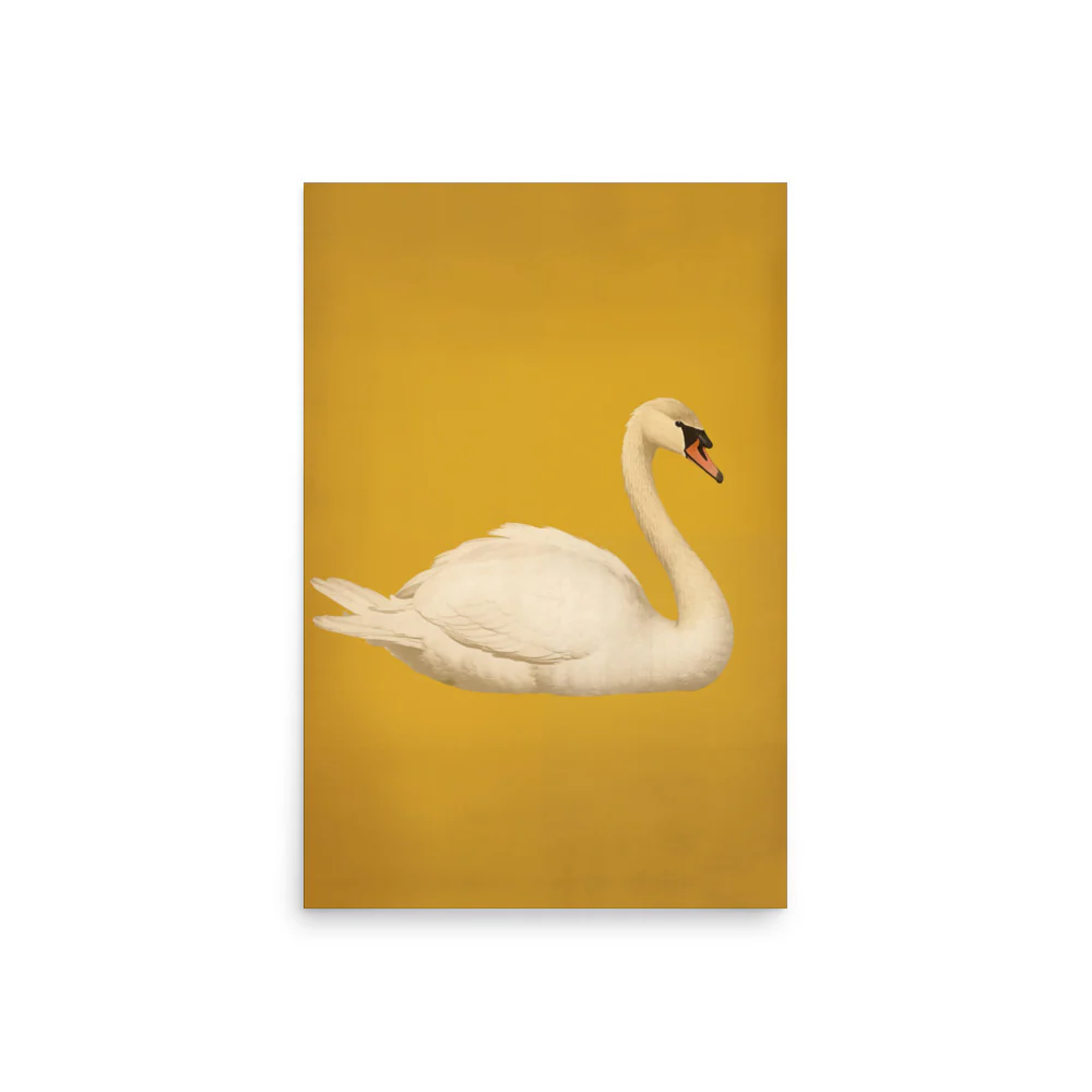 Swan