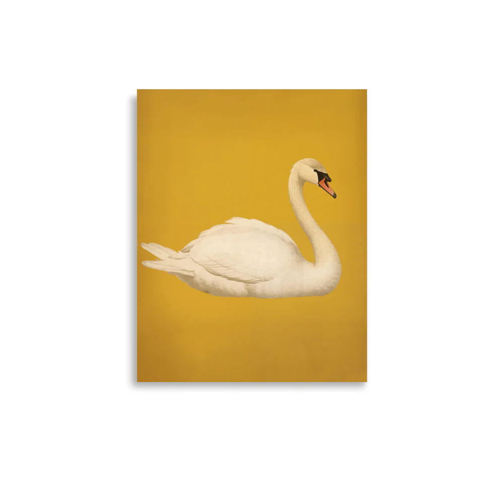Swan - Image 2