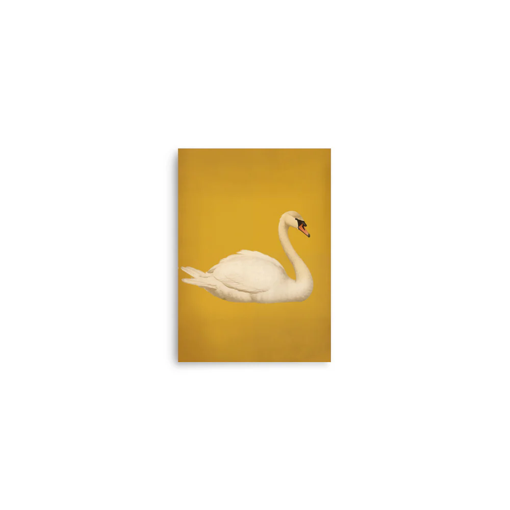Swan - Image 8