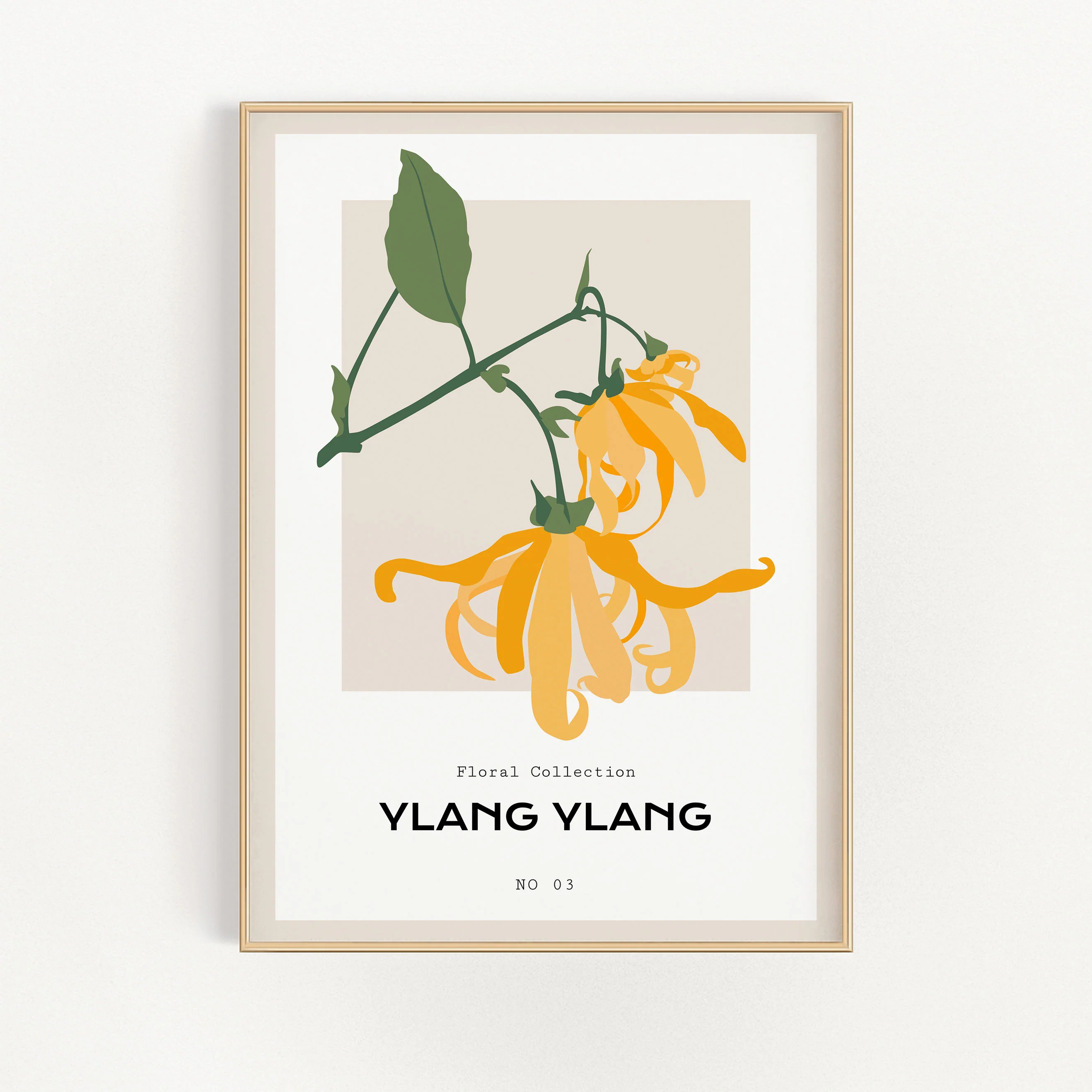 Ylang Ylang